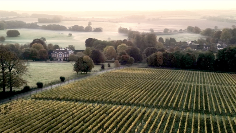 Candover Brook releases a film on their regenerative viticulture